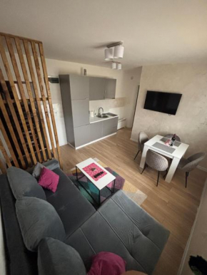 Apartman Milan